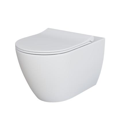 Унитаз подвесной Ambassador Queen 113T20101R (570х360х400) безободковый