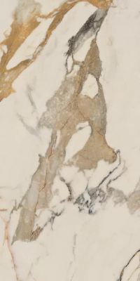 Керамогранит Ariana Epoque Ivory Ret 60x120