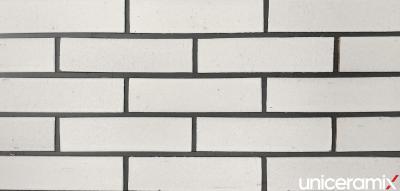 Вентилируемый фасад UX-1005-T2 240х71х17 UniCeramix