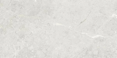 Керамогранит Art&Natura Ceramica Una Pietra Nordix Silver Glossy 60x120