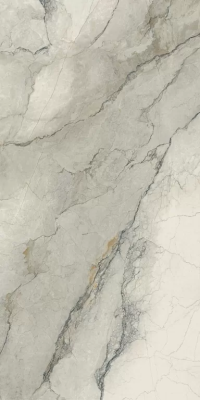 Керамогранит Ava Bolgheri Stone Sage Lap Ret 60x120