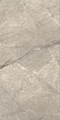 Керамогранит Caesar Anima Futura Amazing Silver Rt 60x120