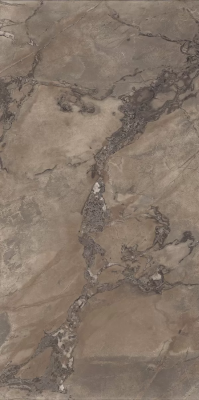 Керамогранит Ariana Epoque Brown Ret 60x120