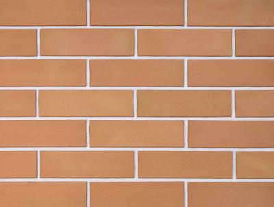 Вентилируемый фасад UX-32-T2 Sandgelb 240х71х17 UniCeramix