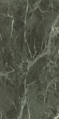 Керамогранит Caesar Anima Wonder Forest 60x120 Luc