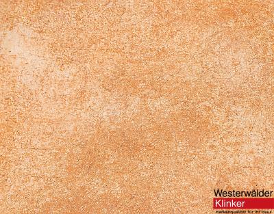 Клинкерная плитка WKS31220 Zimtbraun 310x310 Westerwalder Klinker
