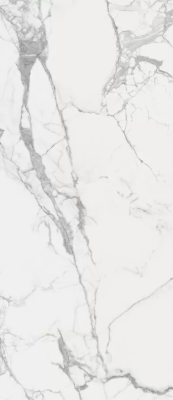 Керамогранит Italon Charme Evo Statuario 120x278 Lux