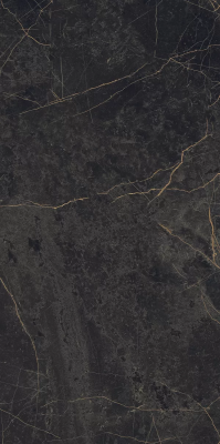 Керамогранит Ariana Epoque Black Ret 60x120