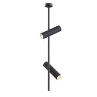 Потолочный светильник Maytoni Elti C021CL-02B