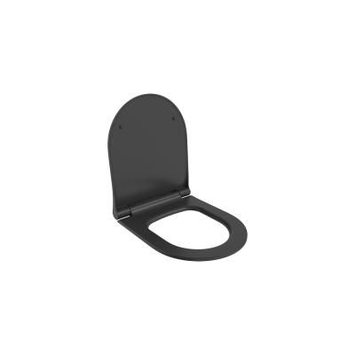 Крышка-сиденье для унитаза Ambassador Abner 102T20201S с микролифтом