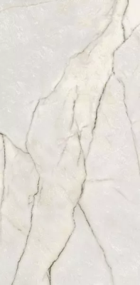 Керамогранит Ariana Epoque 21 Lilac White Lap 60x120