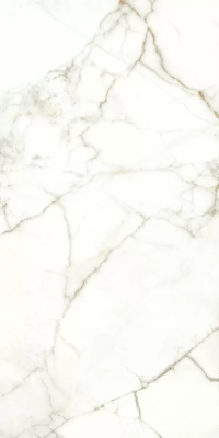 Керамогранит Naxos Rhapsody Emotion Lev 60x120