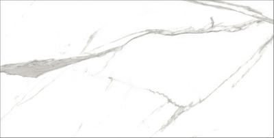 Керамогранит Geotiles Kaunas 60x120