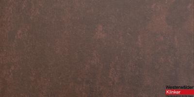 Клинкерная плитка WKS31130 Scotch 310x310 Westerwalder Klinker