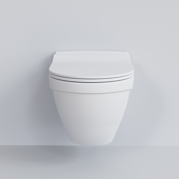 Крышка-сиденье для унитаза Ambassador Nord 132T20101S с микролифтом