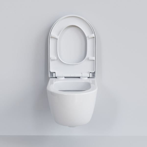 Крышка-сиденье для унитаза Ambassador Abner 102T20001 с микролифтом