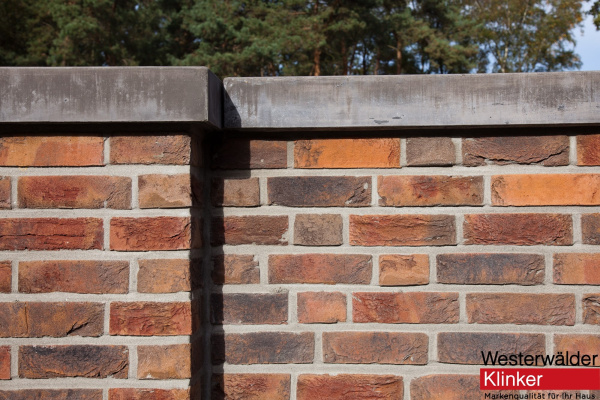 Клинкерная плитка Westerwalder Klinker WK928 Netterden/Wenworth 210x65x22