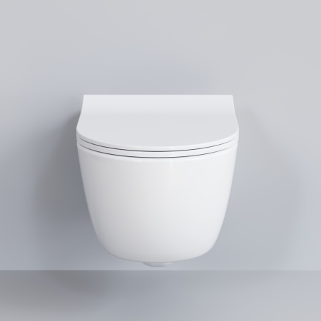 Крышка-сиденье для унитаза Ambassador Abner 102T20001S с микролифтом