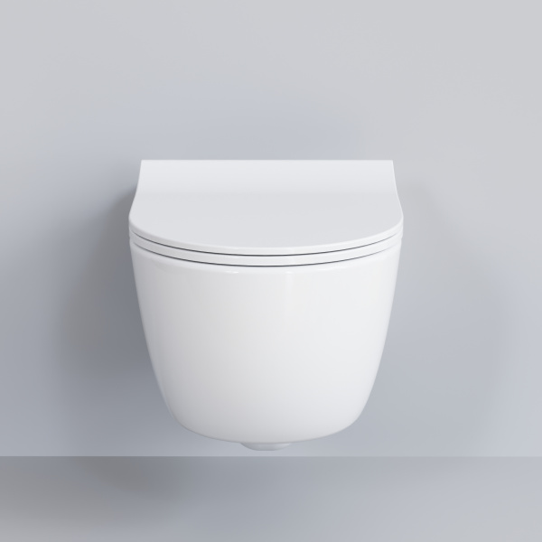 Крышка-сиденье для унитаза Ambassador Abner 102T20001S с микролифтом