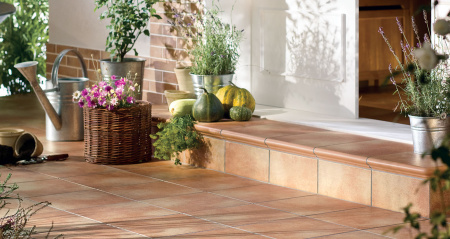 Клинкерная ступень Westerwalder WKS31220 Zimtbraun 310x320