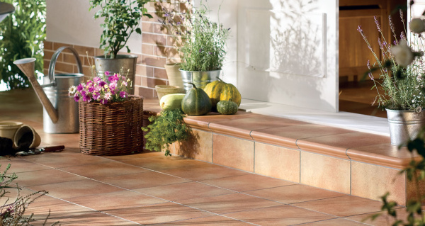 Клинкерная ступень Westerwalder WKS31220 Zimtbraun 310x320