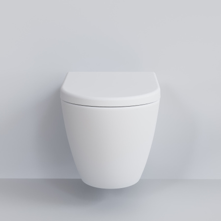 Крышка-сиденье для унитаза Ambassador Queen 112T20101 с микролифтом