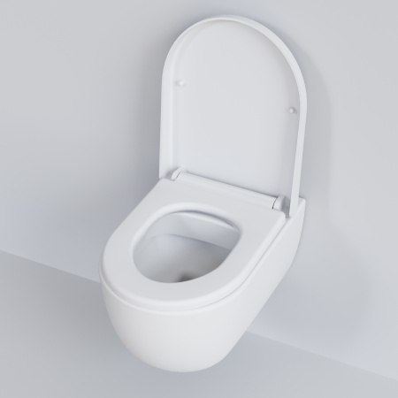 Крышка-сиденье для унитаза Ambassador Abner 102T20101 с микролифтом