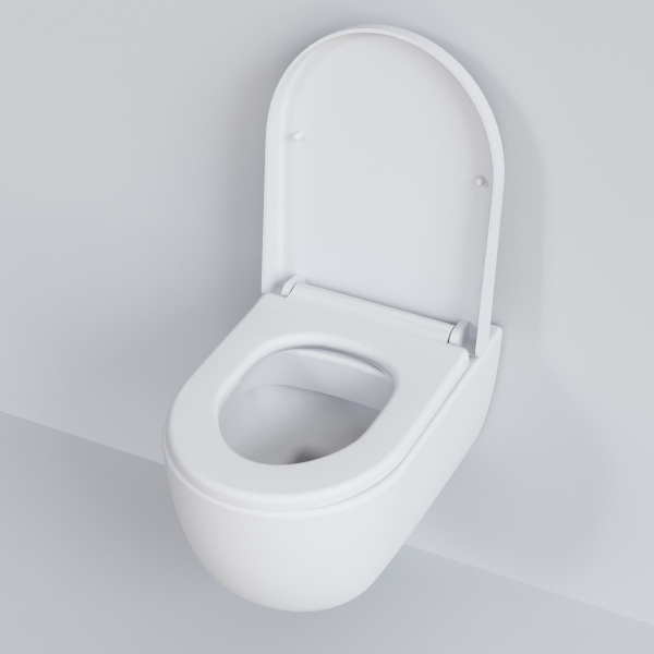 Крышка-сиденье для унитаза Ambassador Abner 102T20101 с микролифтом