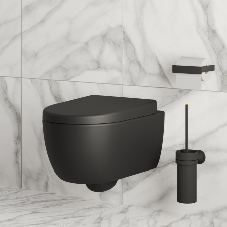 Крышка-сиденье для унитаза Ambassador Abner 102T20201 с микролифтом