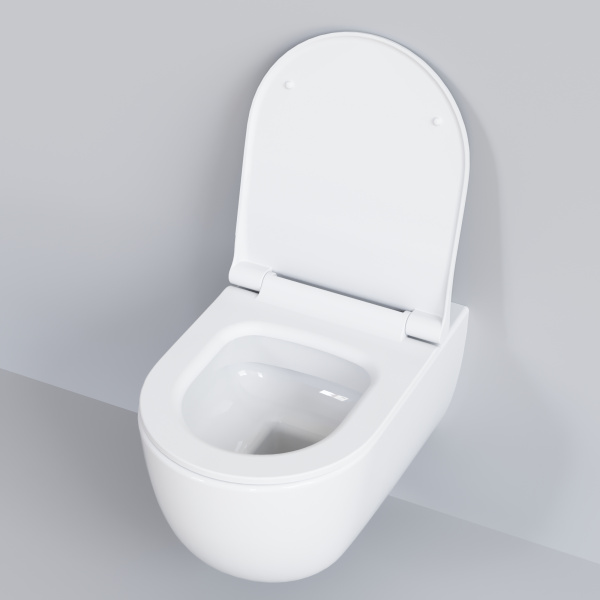 Крышка-сиденье для унитаза Ambassador Abner 102T20001S с микролифтом