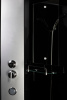 Душевая кабина Niagara Classic NG-2507-14BKG (800х800х2000)