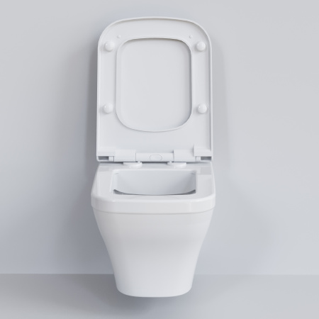 Крышка-сиденье для унитаза Ambassador Benefit 202T20001S с микролифтом