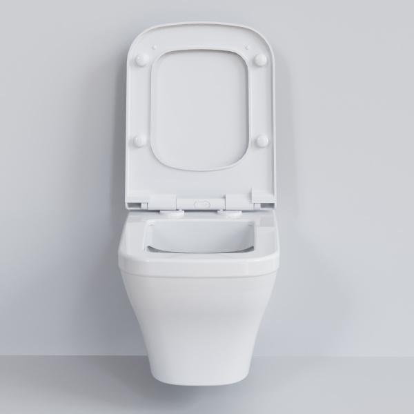 Крышка-сиденье для унитаза Ambassador Benefit 202T20001S с микролифтом