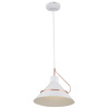 Подвесной светильник Freya Amis FR5025PL-01W