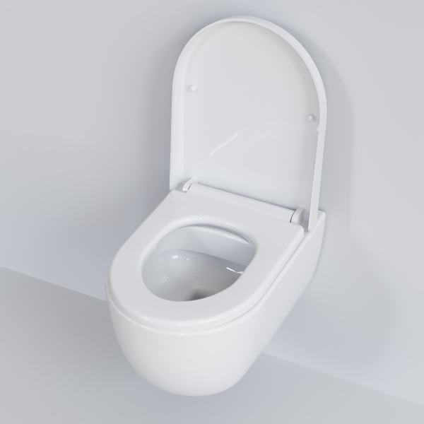 Крышка-сиденье для унитаза Ambassador Abner 102T20001 с микролифтом