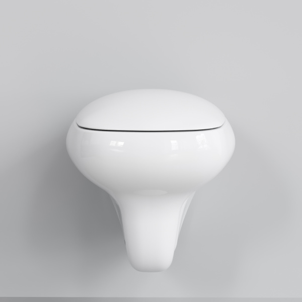 Крышка-сиденье для унитаза Ambassador Diamond 122T20001 с микролифтом