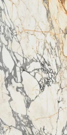 Керамогранит Ariana Epoque 21 Arabescato Lap 60x120