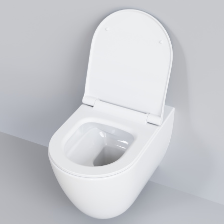 Крышка-сиденье для унитаза Ambassador Queen 112T20001S с микролифтом