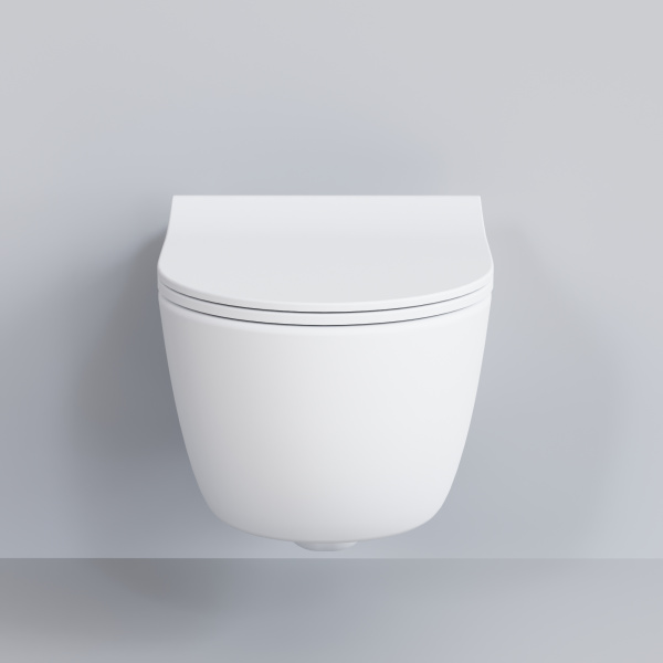 Крышка-сиденье для унитаза Ambassador Abner 102T20101S с микролифтом