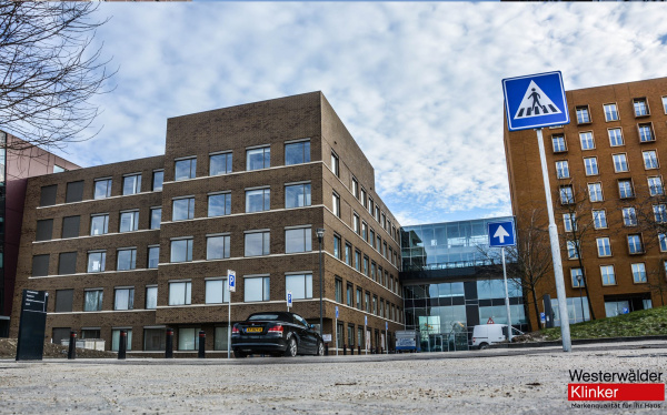 Клинкерный кирпич WK834S Grau nuanciert Spezial 240/55/71 Westerwalder Klinker