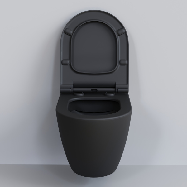 Унитаз подвесной Ambassador Queen 113T20201R (570х360х400)