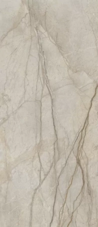 Керамогранит Italon Stellaris Elegant Silver 120x278