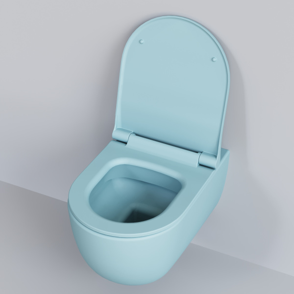 Крышка-сиденье для унитаза Ambassador Abner 102T20801 с микролифтом