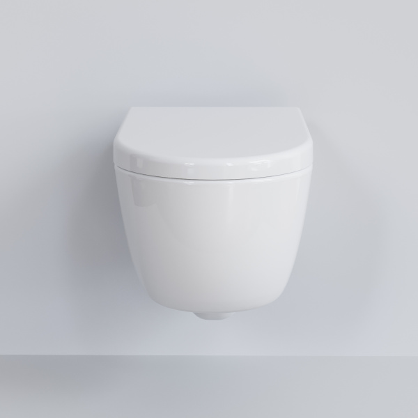 Крышка-сиденье для унитаза Ambassador Abner 102T20001 с микролифтом