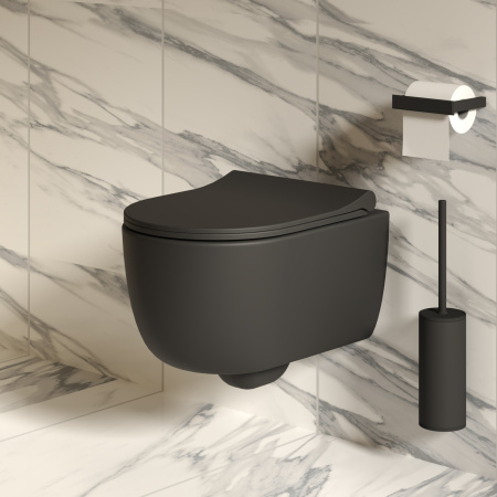 Крышка-сиденье для унитаза Ambassador Abner 102T20201S с микролифтом