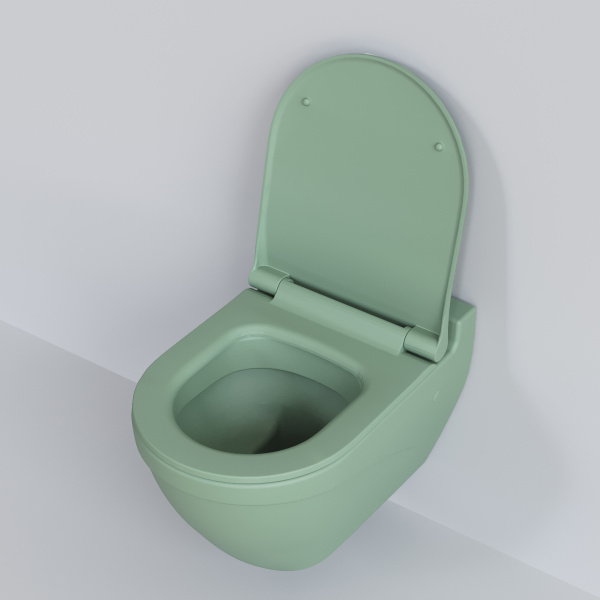 Крышка-сиденье для унитаза Ambassador Nord 132T21001S с микролифтом