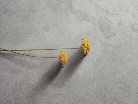 Керамогранит Refin River Graphite Matt 60x120