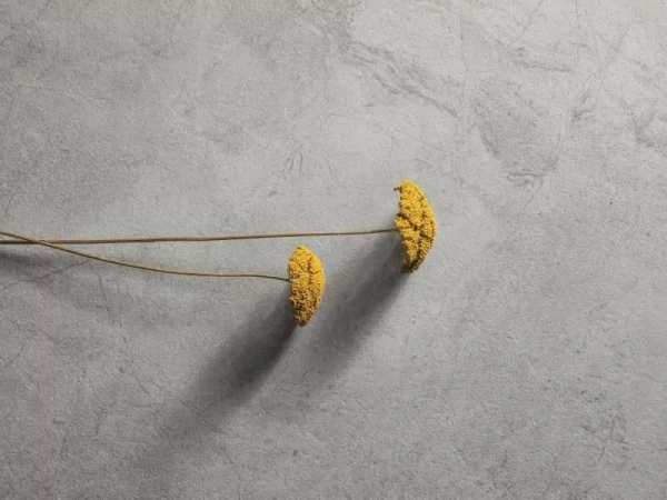 Керамогранит Refin River Graphite Matt 60x120