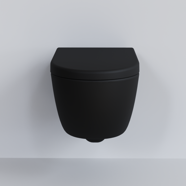 Крышка-сиденье для унитаза Ambassador Abner 102T20201 с микролифтом