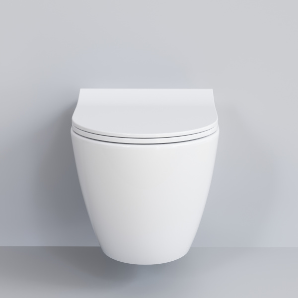 Крышка-сиденье для унитаза Ambassador Queen 112T20001S с микролифтом